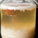 kefir de fruit danger 1